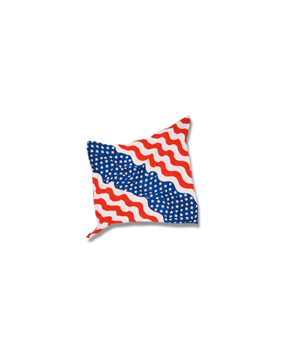 Stars, Scars & Stripes Bandana